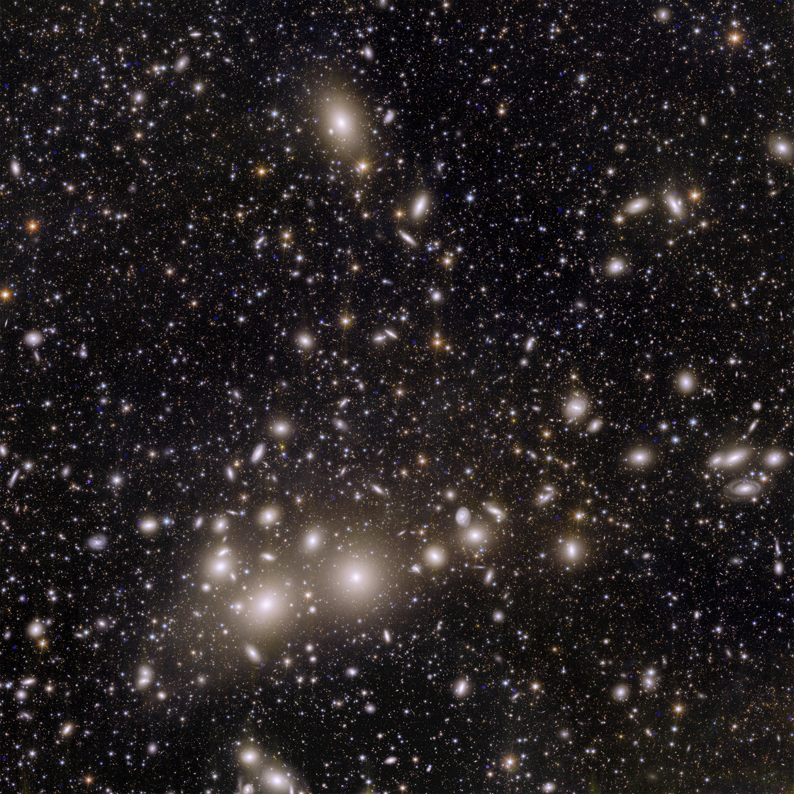 In this image captured by EUCLID, 1,000 galaxies are depicted as part of the Perseus Cluster, with an additional backdrop of over 100,000 galaxies situated even farther away. A/Euclid/Euclid Consortium/NASA, Bildbearbeitung durch J.-C. Cuillandre, G. Anselmi; CC BY-SA 3.0 IGO