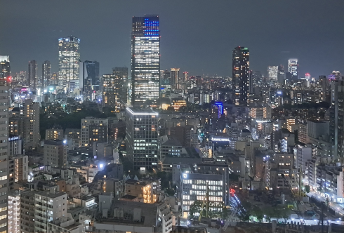 View over Tokyo (Photo by H. Henkel)